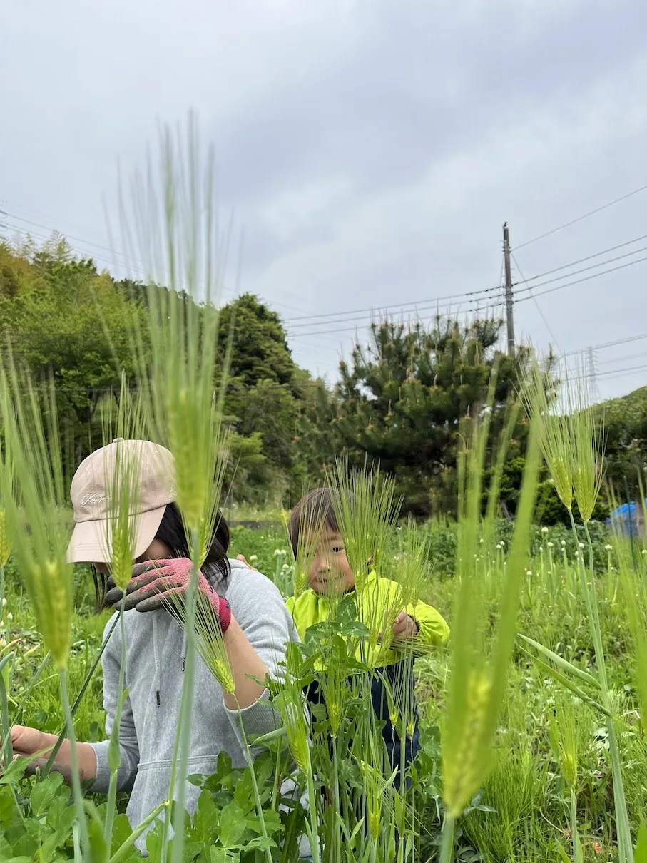こども農園の活動の様子